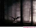 untitled2a