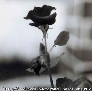 e04ad1d6f601b628366580e62e4cd8b9_2