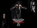 :$ The Crow :$