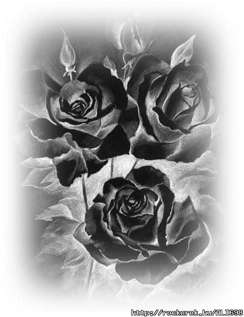 roses-drawing