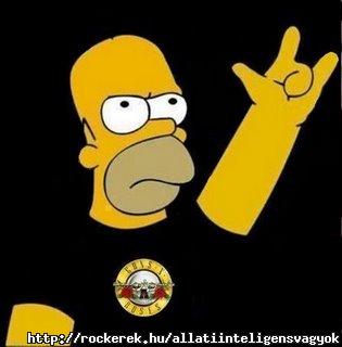 medium_homero20rock