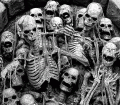 skeletons