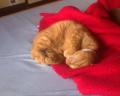 Cicja *-*