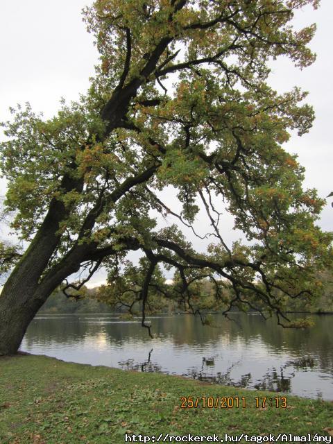 Nymphenburg2