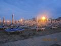 Bibione