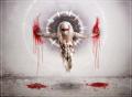 Equilibrium