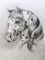 appaloosa