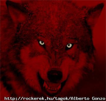 red_wolf3