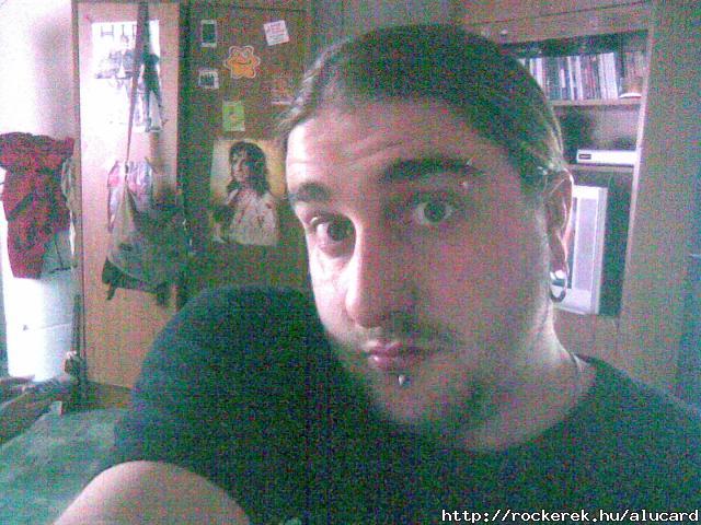 2008:Dmg volt ll PC-m:(