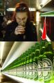 Amsterdam - Heineken Experience