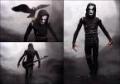 the crow