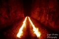 Train-to-hell_jpg