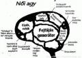 igeeen