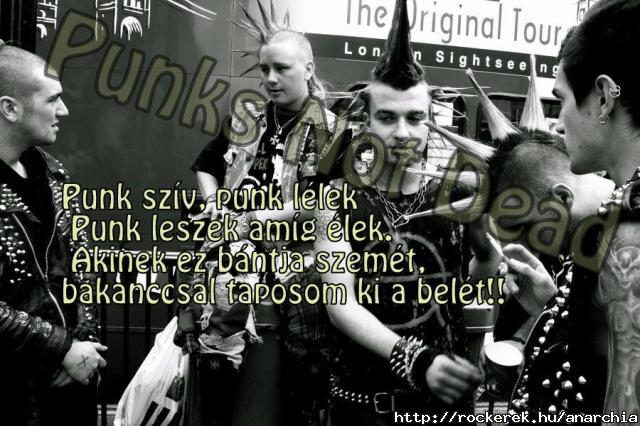 my style punks not dead :3