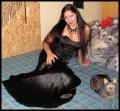 Andix(Black Cat)