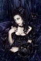 black cat=D
