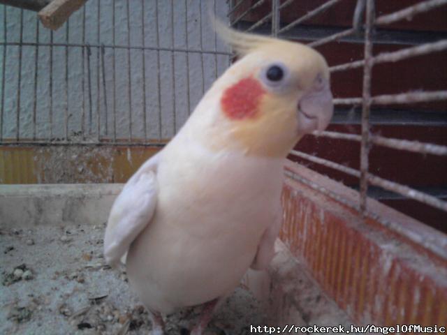Misii :)