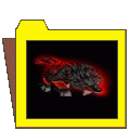 n (3)