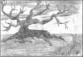lonelytree