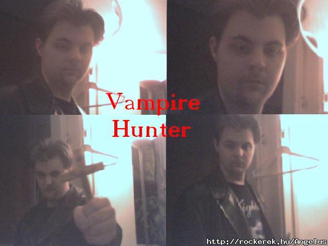 My vampire hunter