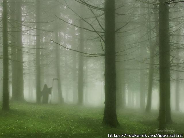 Death whispered a lullaby...