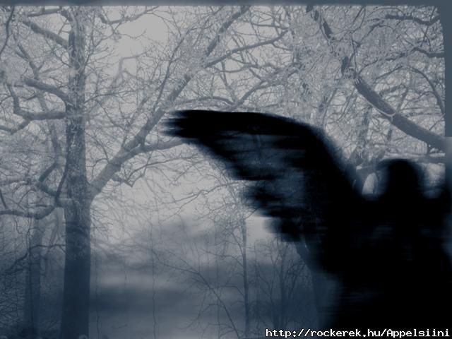 Divine darkness