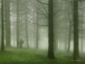 Death whispered a lullaby...