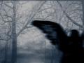 Divine darkness