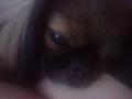 Bbika :)