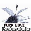 fuck love