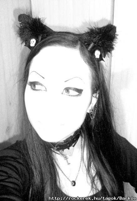 cat-ear by me