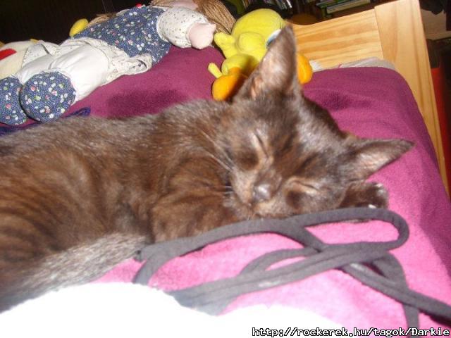 Gyilkos♥ still miss him :/