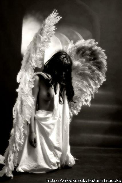 Fallen Angel