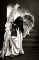 Fallen Angel