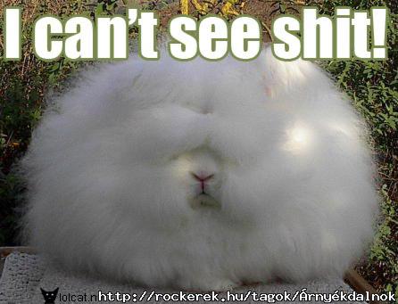 cant_see