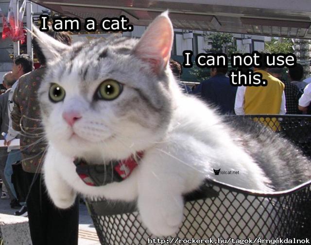 cannot