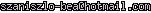 msn