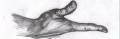 One hand