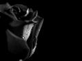 dark-and-red-rose-31000