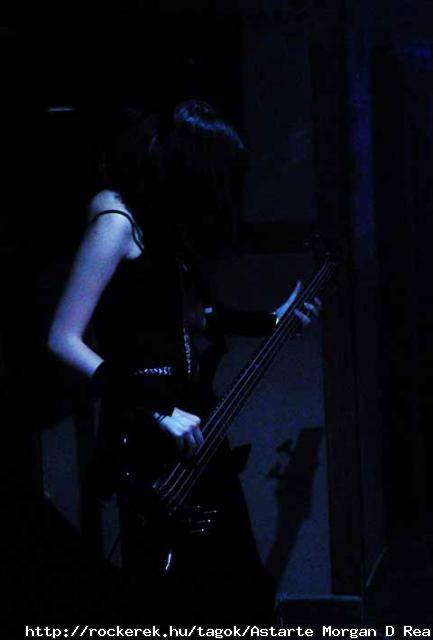 Viper Room, 2008.10.24.