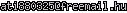 msn