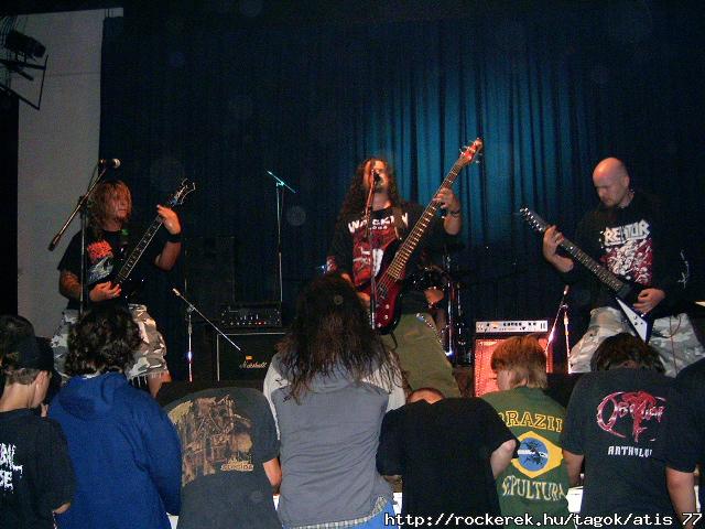 terminal koncert