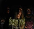 decrepit birth