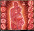 Pregnancy