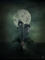 The_Dark_Castle_by_FroweMinahild