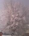 12-03-10_0941