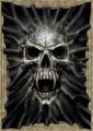 skull