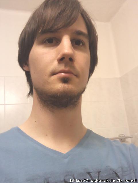 bandi1