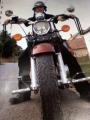 Mototoros VADSZ