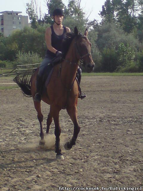 Reiten